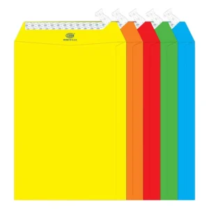 FIS Color Envelopes, Peel & Seal, Neon Assorted Colors, Pack of 50 Pcs. 9 x 6 inch, 80 GSM