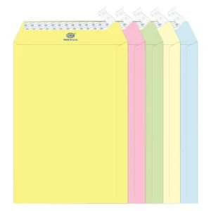 FIS Color Envelopes, Peel & Seal, Pastel 5 Assorted Colors, Pack of 50 Pcs. 9 x 6 inch, 80 GSM