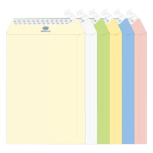 FIS Laid Paper Envelopes Peel & Seal, Pack of 60 Pcs. 6 Assorted Colors Color, 10 x 7 Inch, 100 GSM