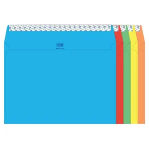 FIS Color Envelopes Peel & Seal, Neon Colors, Pack of 50 Pcs. 5 Asst Color, C4 (229 x 324 mm), 80 GSM