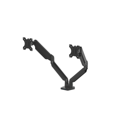 8042501-PT-Dual-L-noMon-2020