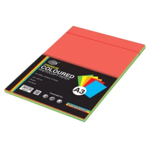 FIS Premium Color Photocopy Paper, 100 Sheets, 80 gsm, 5 Assorted Premium Colors, A3 Size – FSPWA3P5C100