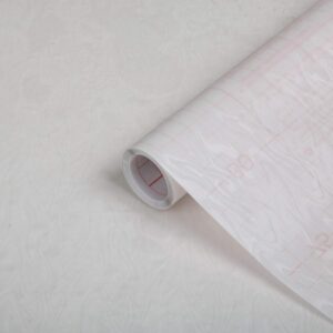 DC Fix Ad Foil Trans Frstd 45cmx15m