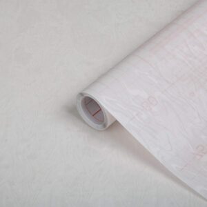 DC Fix Ad Foil Trans Frstd 45cmx2m