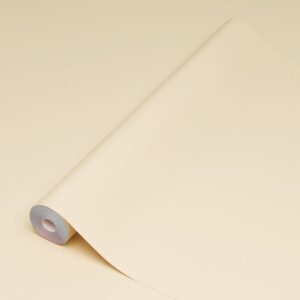 DC Fix Plain Mat 45cmx15m Lght BG