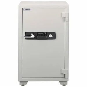 Eagle Safe ES-100 Fire Resistant Key and Electronic Lock 205 KG