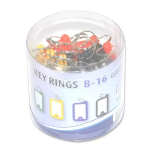 25-Piece FIS Key Ring 4.8X2.6cm Assorted – FSKCB-16