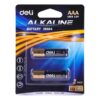 Deli_Alkaline_Battery_AAA_1_pair-Deli-db333-217155